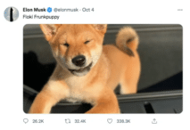 Shiba Inu rusar efter Musks tweet